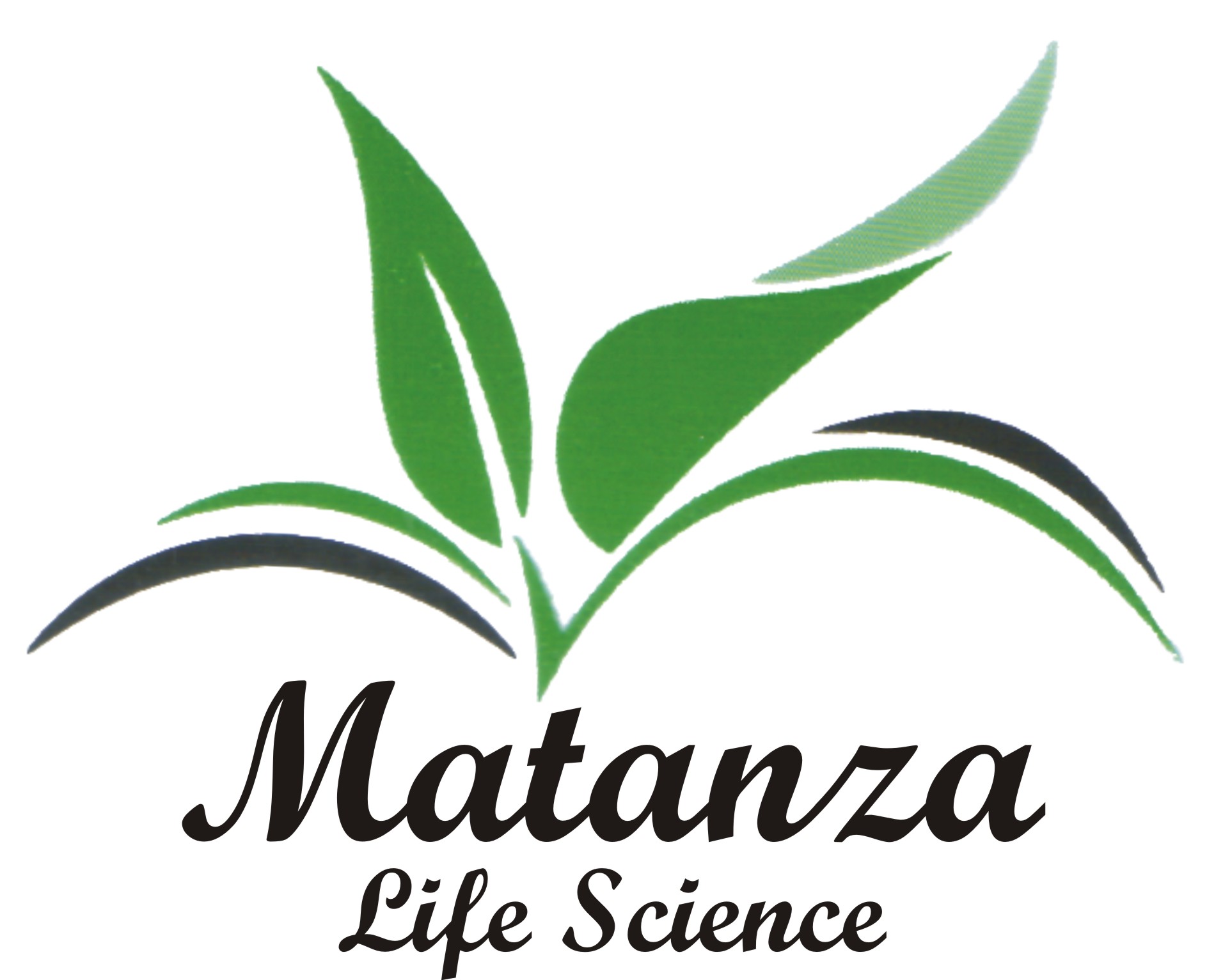 DMS Logo